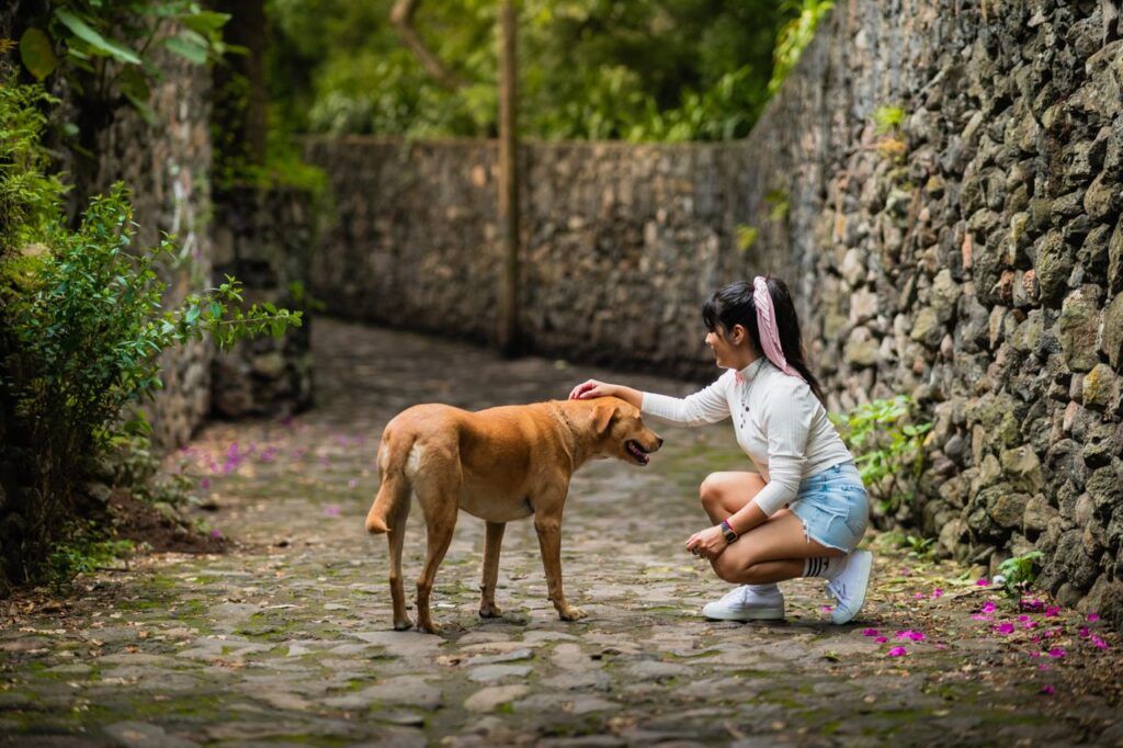 A young woman kneels to pet a dog on a charming cobblestone path surrounded by stone walls.
