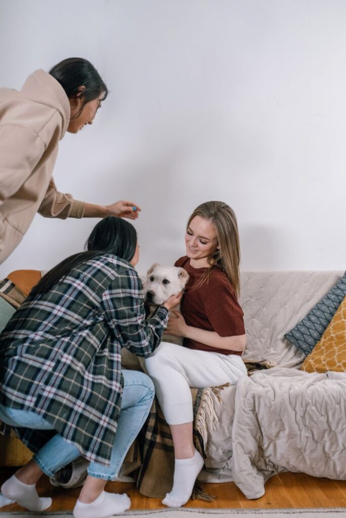 Three friends playing with a white dog on a comfy sofa indoors.
